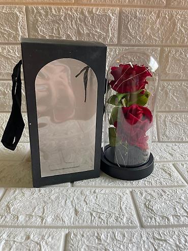 Praznična dekoracija: Večna ruža u staklenom zvonu sa led lampicom 🌹✨ čarobna ruža u — 7