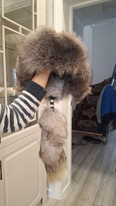 меховые ушки: Шапка, Ушанка, Натуральная кожа, Зима — 1