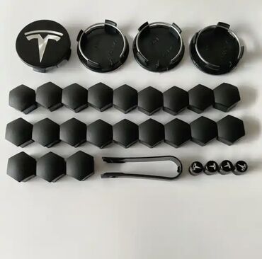 Emblemlər və nişanlar: TESLA AKSESUARLARI — 12