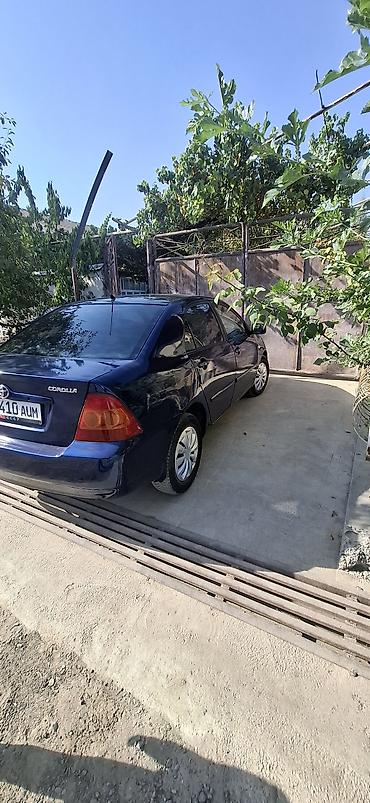 daewoo lanos 1: Toyota Corolla: 2006 г., 1.6 л, Автомат, Бензин, Седан — 4