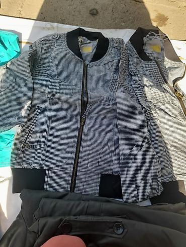 Ветровки: Ветровка, Осень-весна, С капюшоном — 8