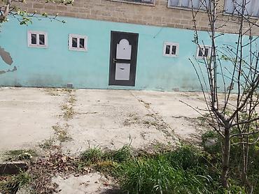дем ал пансионат: 7 комнат, 280 м², Средний ремонт — 4
