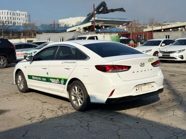 Hyundai: Hyundai Sonata: 2019 г., 2 л, Автомат, Газ, Седан — 1