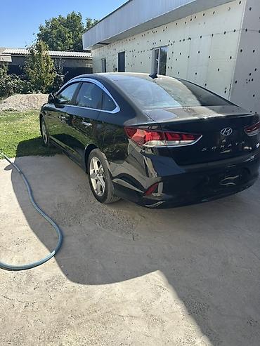 sonata: Hyundai Sonata: 2021 г., 2 л, Типтроник, Газ, Седан — 4