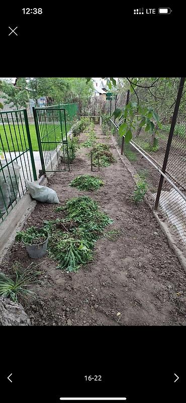 Дворники, садовники: 🌱Я Садовник Генеральный уборка сада Сеем газон под ключ Посев газон — 7