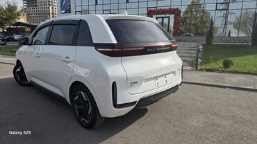 BYD: BYD : 2021 г., Автомат, Электромобиль, Универсал — 7
