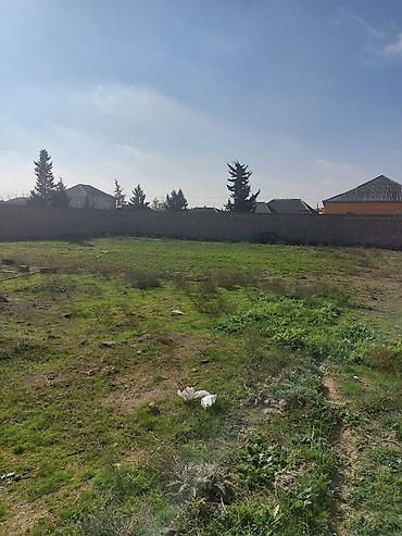 бина аз недвижимость: Для строительства, Риэлторам не беспокоить, Купчая — 3