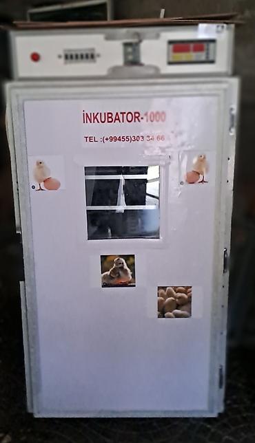 İnkubatorlar: 1100 yumurta, Azərbaycan, Azərbaycan dilində təlimat — 4