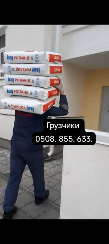 помошник по дому: Жүк ташуучу. 6 жылдан ашык тажрыйба