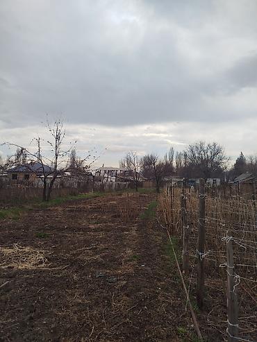 Продажа коттеджей и домов: Продается дом в г. Кара балта 17,5 соток. Мы посадили осенью новый — 21