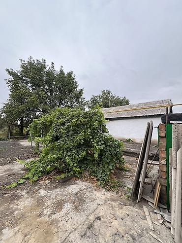2 комнаты, 45 м², 4 соток, Сокулук, Риэлтор