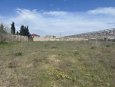 xasaxuna: 65 sot, Kupça (Çıxarış) — 9