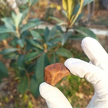 Qiymətli daşlar: Təbii Jasper daşı Satılır 💎 - Material: təbii jasper (yarıqiymətli — 7