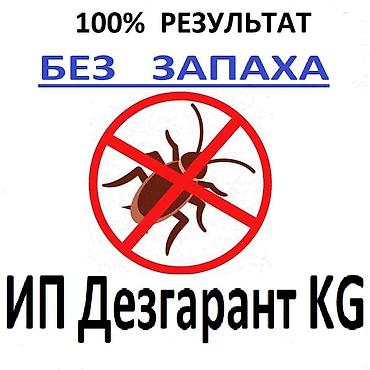 clean point: Дезинфекция, дезинсекция, | Клопы, Блохи, Тараканы, | Транспорт, Офисы, Квартиры — 3