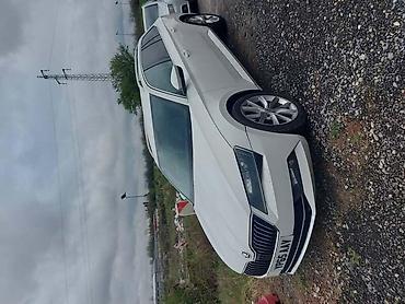 alfa spitfire: KARAVAN TRAP PREDNJI MOST ZA ŠKODA SUPERB OD 2015. DO 2019. GOD. | — 1