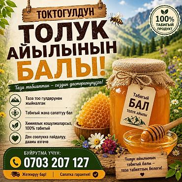 кой коозу: Натуральный мед из Толу́к айылы (Токтогул) - 100% натуральный продукт — 1