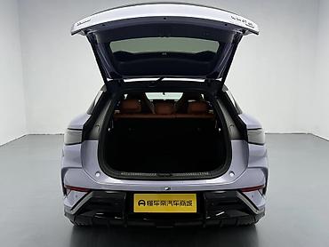 BYD: BYD Sea Lion 07: 2025 г., Кроссовер — 14