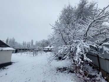 Продажа домов: Дом, 60 м², 4 комнаты, Собственник, Косметический ремонт — 9