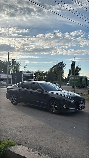 sonata: Hyundai Sonata: 2020 г., 2 л, Автомат, Газ, Седан — 1