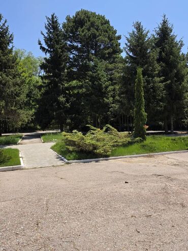 солемар иссык куль цены 2020: Коттедж, Ала-Тоо Чолпон-Ата