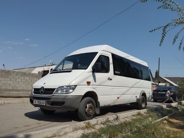 210 мерс: Автобус, Mercedes-Benz, 2008 г., 16-21 орун