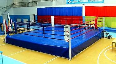 Другое для спорта и отдыха: Маты Ковры маты даянги татами дзюдо борцовские ковры гимнастические — 14