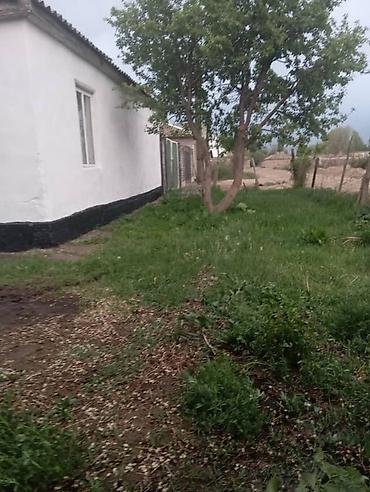 Продажа коттеджей и домов: Кочкор районунан чон там сатылат. Кара- тоо айылы райондон 2,5 км — 5