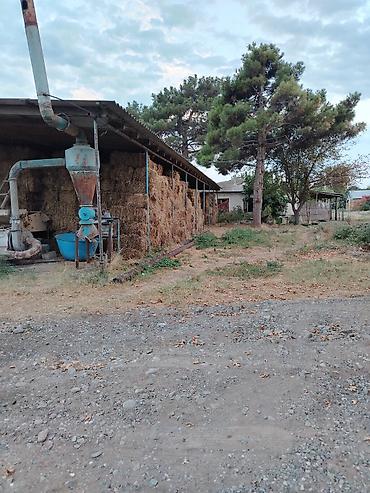 Kənd təsərüfatı heyvanları üçün digər mallar: Ferma/təsərrüfat kompleksi - Heyvandarlıq üçün tikili və açıq — 3