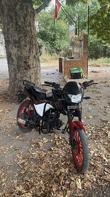 moped arendasi: Tufan - M50n, 80 см3, 2024 год — 7