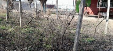 Həyət evləri və villaların satışı: 3 otaqlı, 126 kv. m, Orta təmir — 23