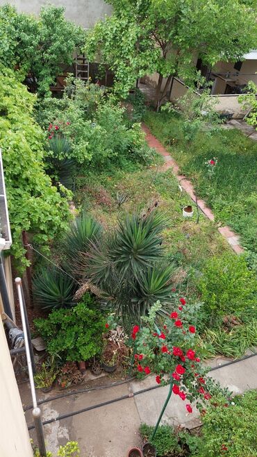 Həyət evləri və villaların satışı: 6 otaqlı, 26 kv. m, Yeni təmirli — 12