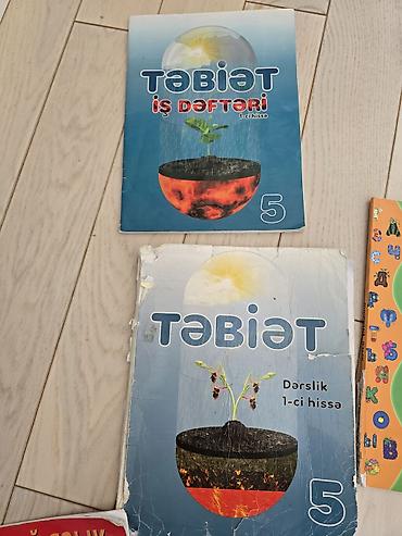 природа 5 класс мсо 1: Məhsul: “Təbiət” fənni üzrə 5-ci sinif üçün vəsaitlər dəsti - “Təbiət — 1
