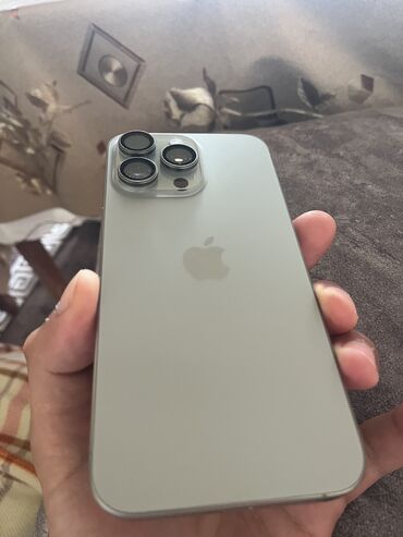 apple magsafe: IPhone 15 Pro Max, 256 GB, Natural Titanium, Face ID