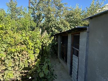 участок моловодный: Продается жилой дом, находящийся по адресу: г. Манас (Жалал-Абад) — 4