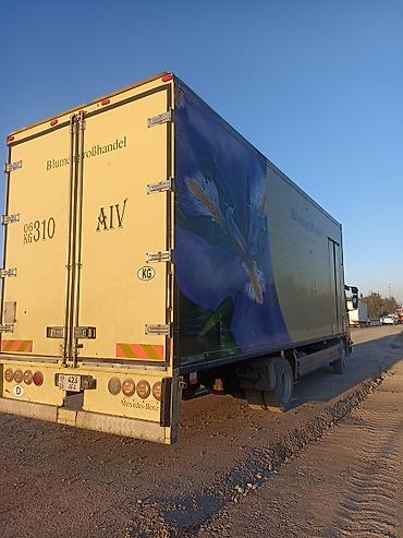 sprinter 412: Шаар ичине Жана региондорго жук таашуу 49куб машина — 3