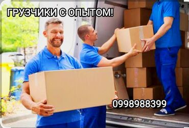 мал сатып алам: Жүк ташуучу. Тажрыйбалуу