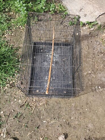 Yuvalar: Qefesderin her biri satilir — 4