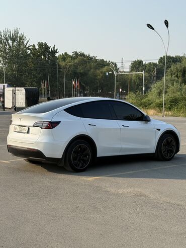 Tesla: Tesla Model Y: 2020 г., Автомат, Электромобиль, Кроссовер — 3