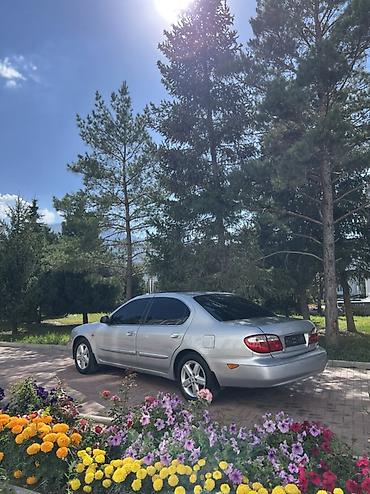 385 55: Nissan Maxima: 2002 г., 2 л, Механика, Бензин, Седан — 6
