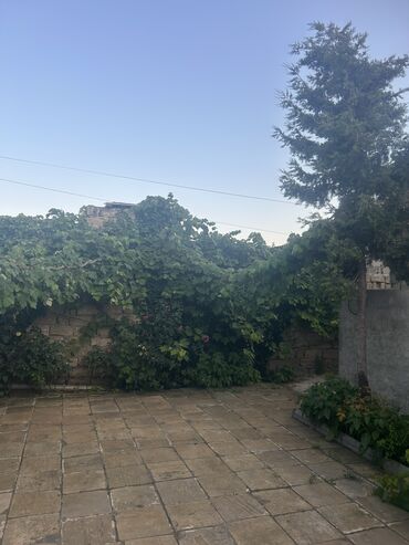 Beton panel divarlar: SATILIR: Xəzər rayonu, Binə qəsəbəsində tam təmirli 4 otaqlı həyət evi — 2