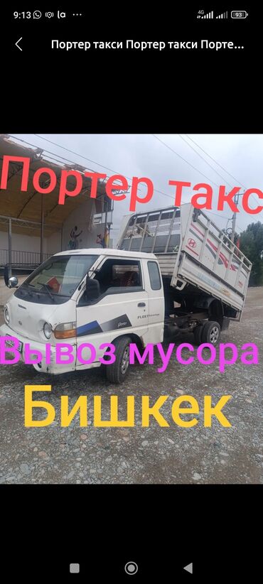 американская акита бишкек: Вывоз мусора Вывоз строй мусора Вывоз мусора вывоз мусура Вывоз строй