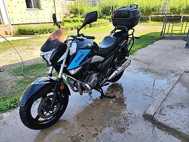 gsx 200: Классический мотоцикл Suzuki, 300 куб. см, Бензин, Взрослый, Б/у — 4