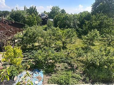 Продажа коттеджей и домов: Продаётся жилой дом с большим земельным участком и хозпостройками. с — 13