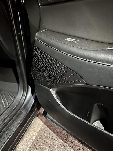 seltos 2019: Hyundai Palisade: 2019 г., 2.2 л, Автомат, Дизель, Кроссовер — 10