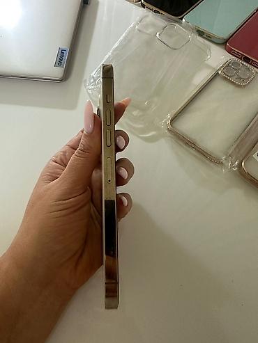 mac srbija cene: IPhone 13 Pro, zlatna boja - Ekran 6.1", Super Retina XDR OLED, ravni — 4