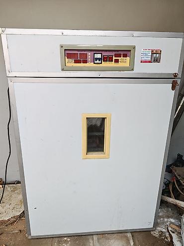 cucə inkubator satisi: 1056 ədədli sosial inkubatoru Bir dəfə istifadə edilib, əla çıxım — 1