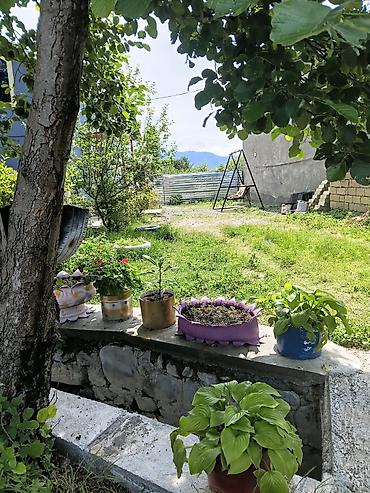 qəbələ ev satışı: Kirayə üçün həyət evi – bağça və yay mətbəxi ilə.İsmayıllı — 8