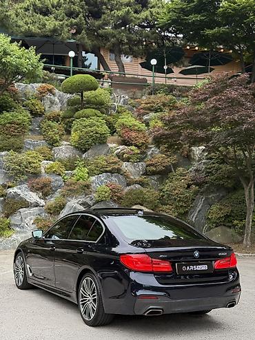 BMW: BMW 5 series: 2019 г., 2 л, Автомат, Бензин, Седан — 5