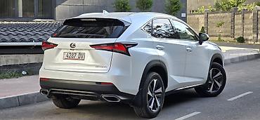 Lexus: Lexus NX: 2019 г., 2 л, Автомат, Бензин, Кроссовер — 16