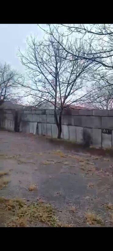 Kommersiya daşınmaz əmlakının satışı: Şəkidə fabrik satılır. Qiymətdə razılaşmaq. Yalnız real alıcılarla -da lalafo.az — 13 Kommersiya daşınmaz əmlakının satışı: Şəkidə fabrik satılır. Qiymətdə razılaşmaq. Yalnız real alıcılarla — 13